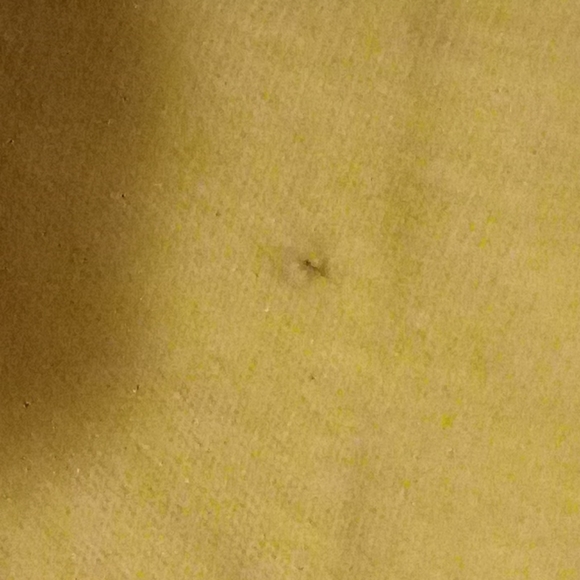 WT O2 shirt - Picture 2 of 4